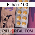 Fliban 100 41